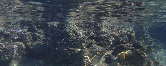 Beware Shallow Waters